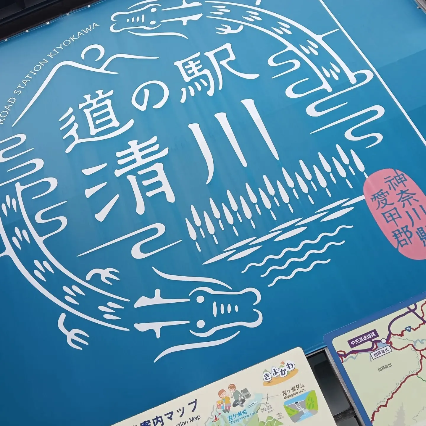 こんにちは！