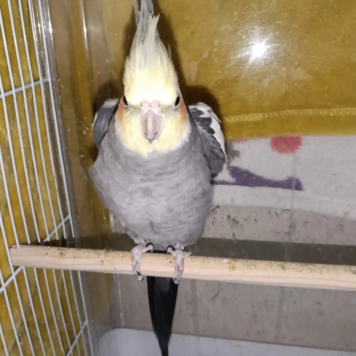 おはようございます！