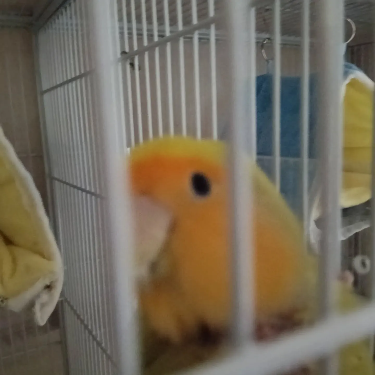 おはようございます！