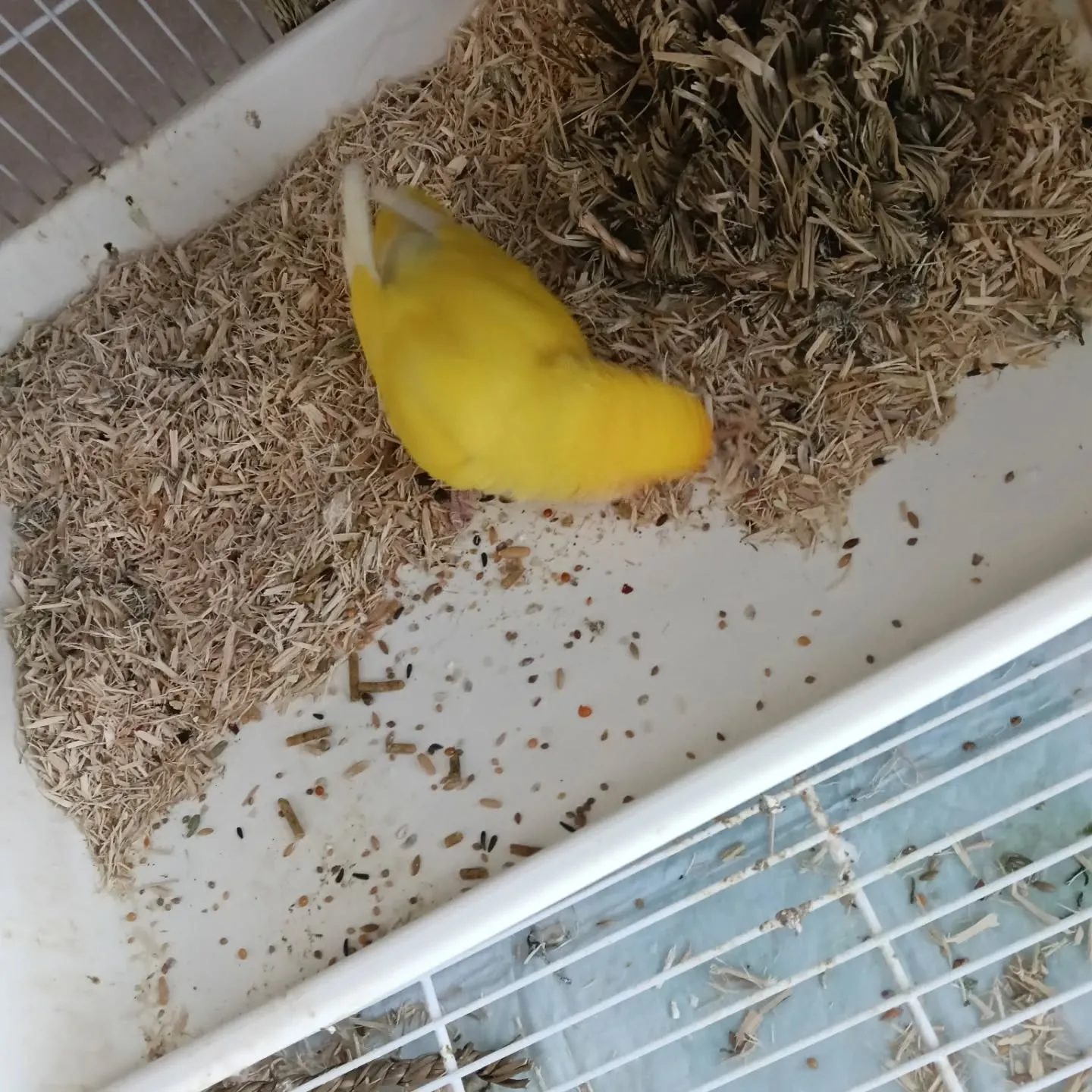 おはようございます！