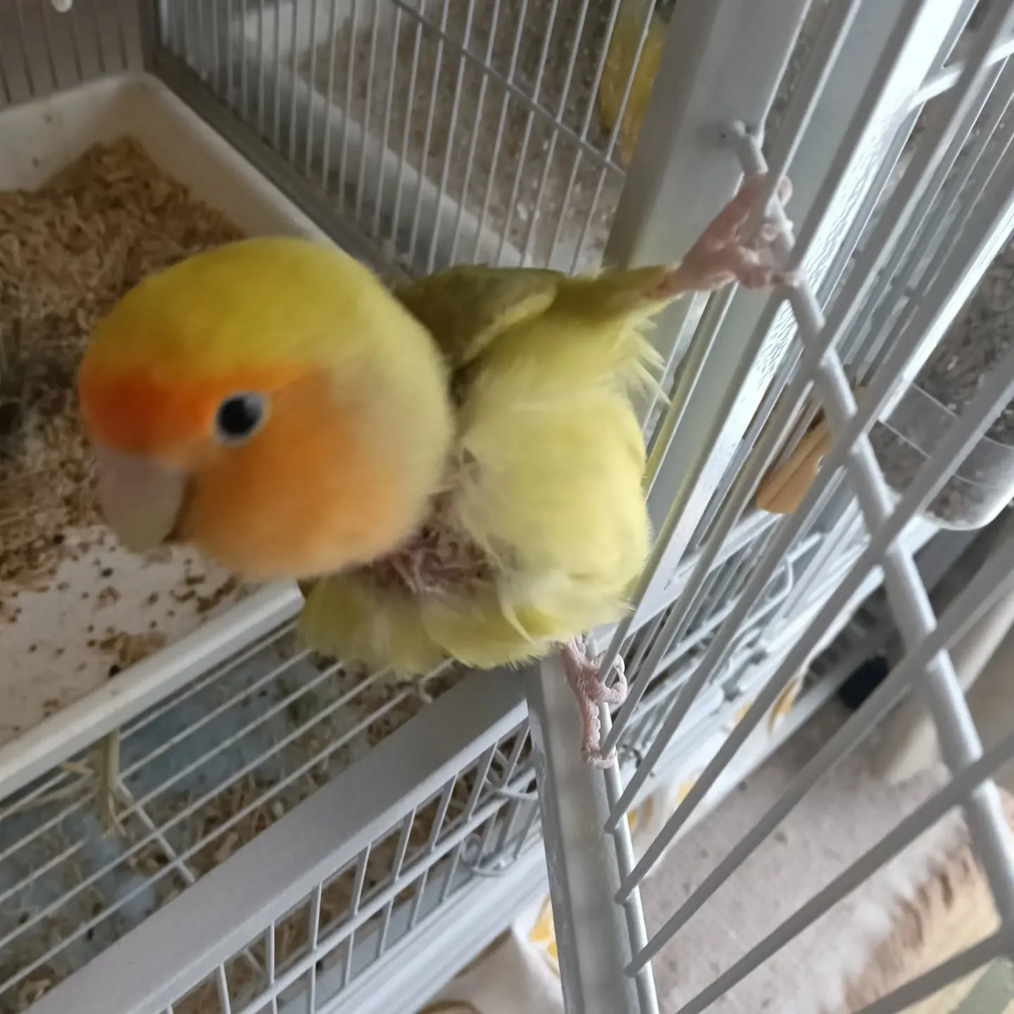 おはようございます！