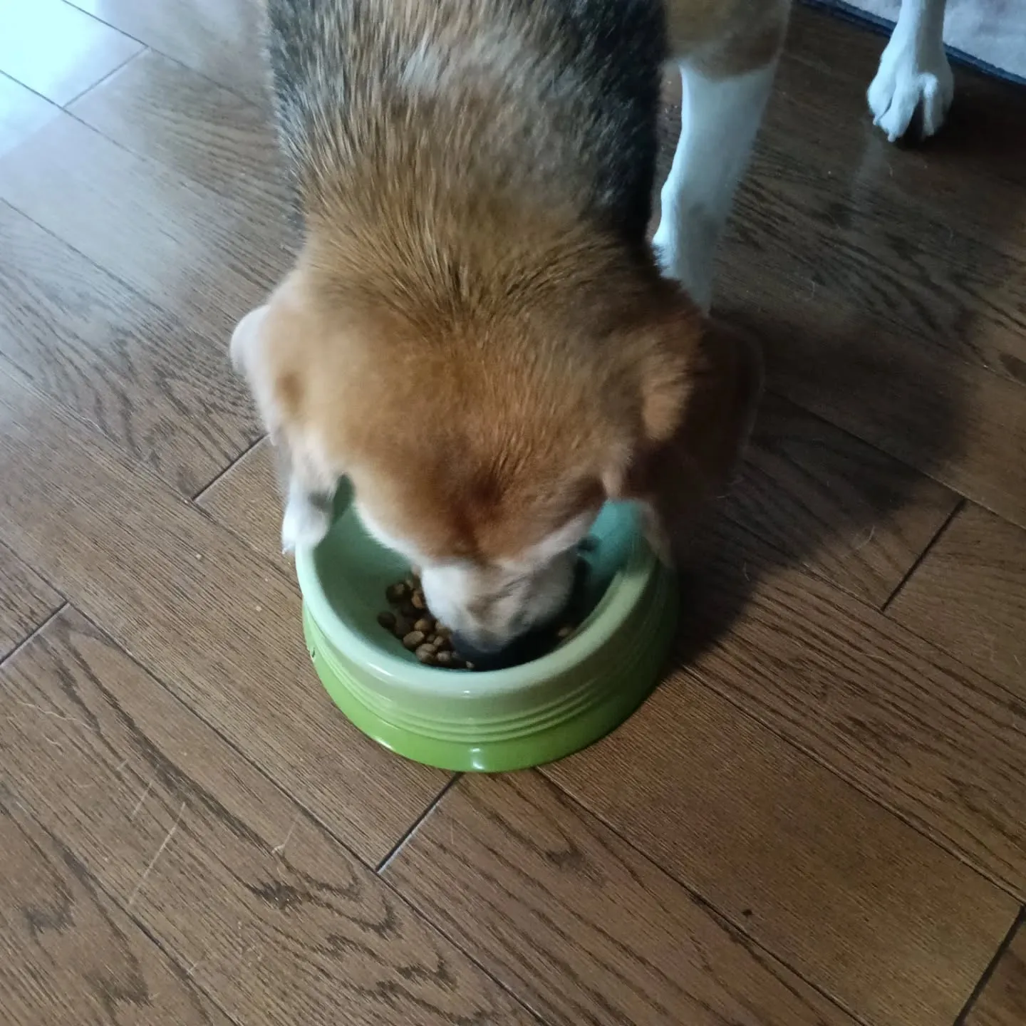 おはようこざいます!