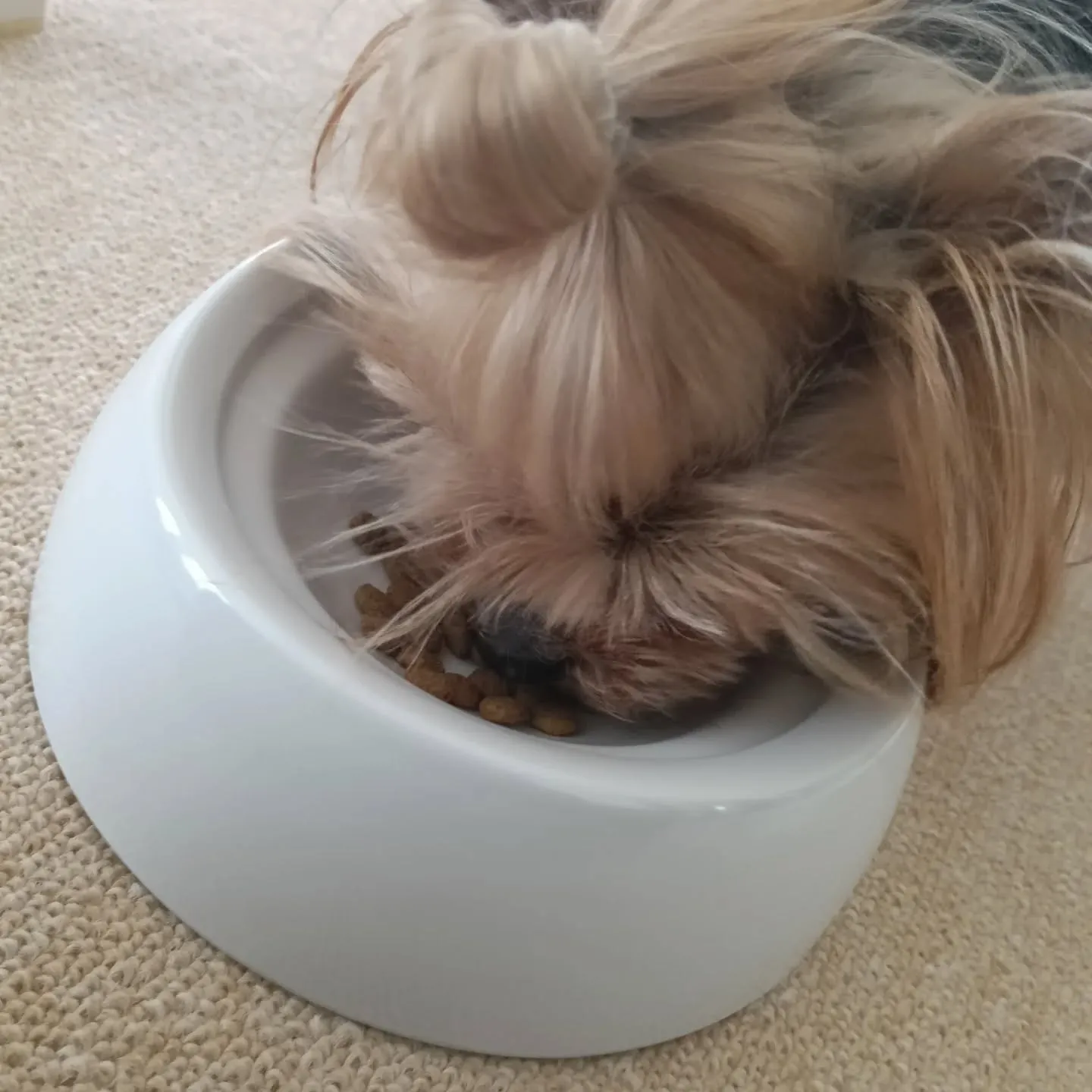 おはようこざいます!