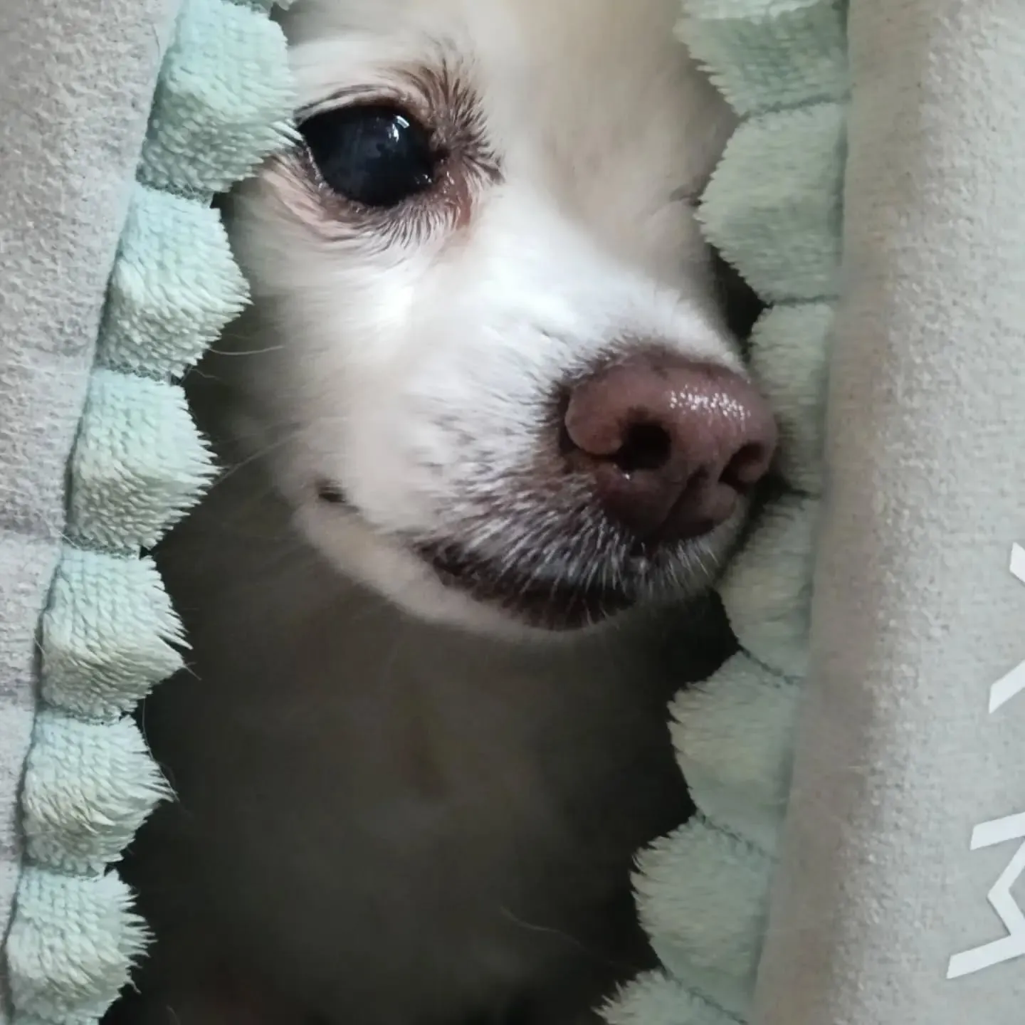 こんにちは！