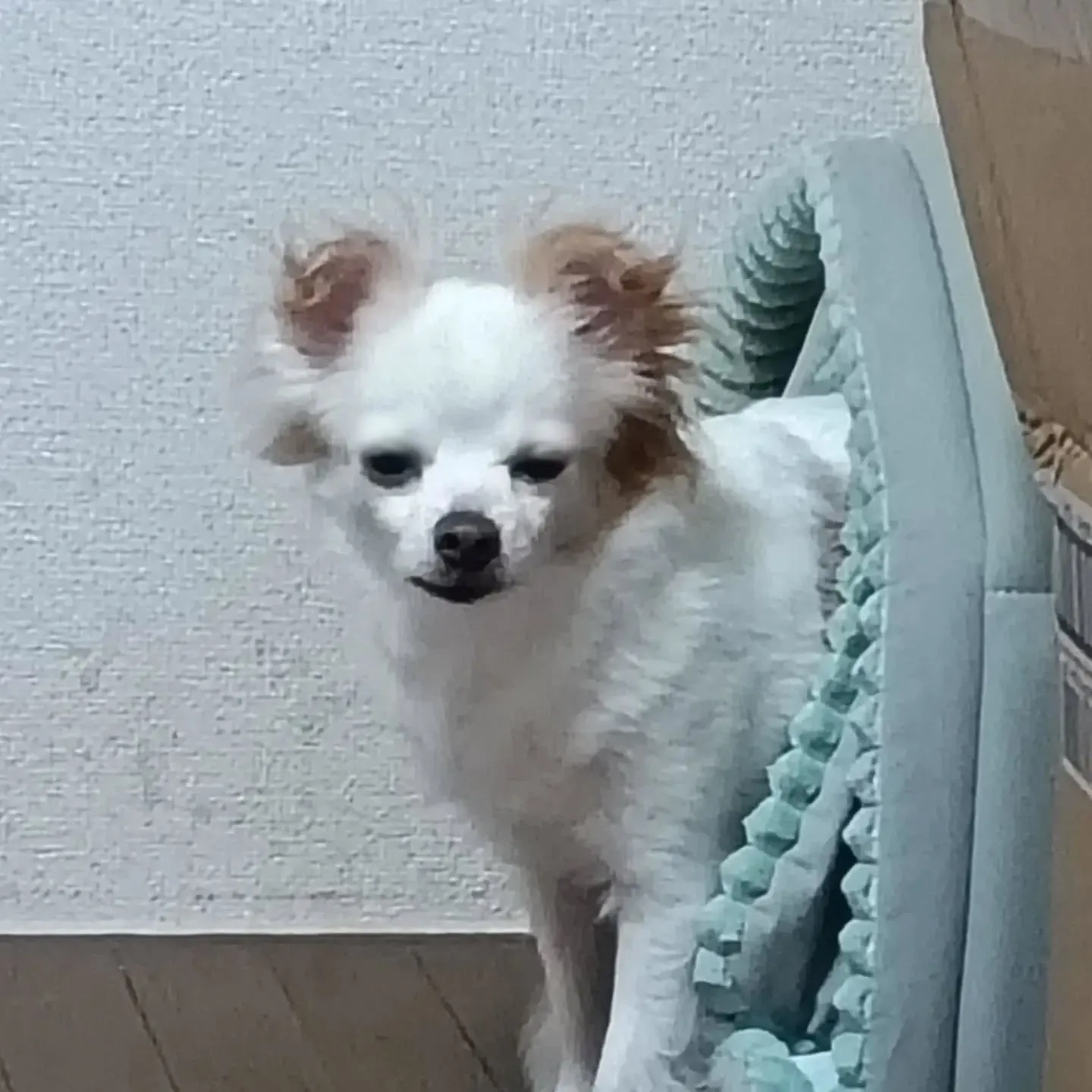 こんにちは！