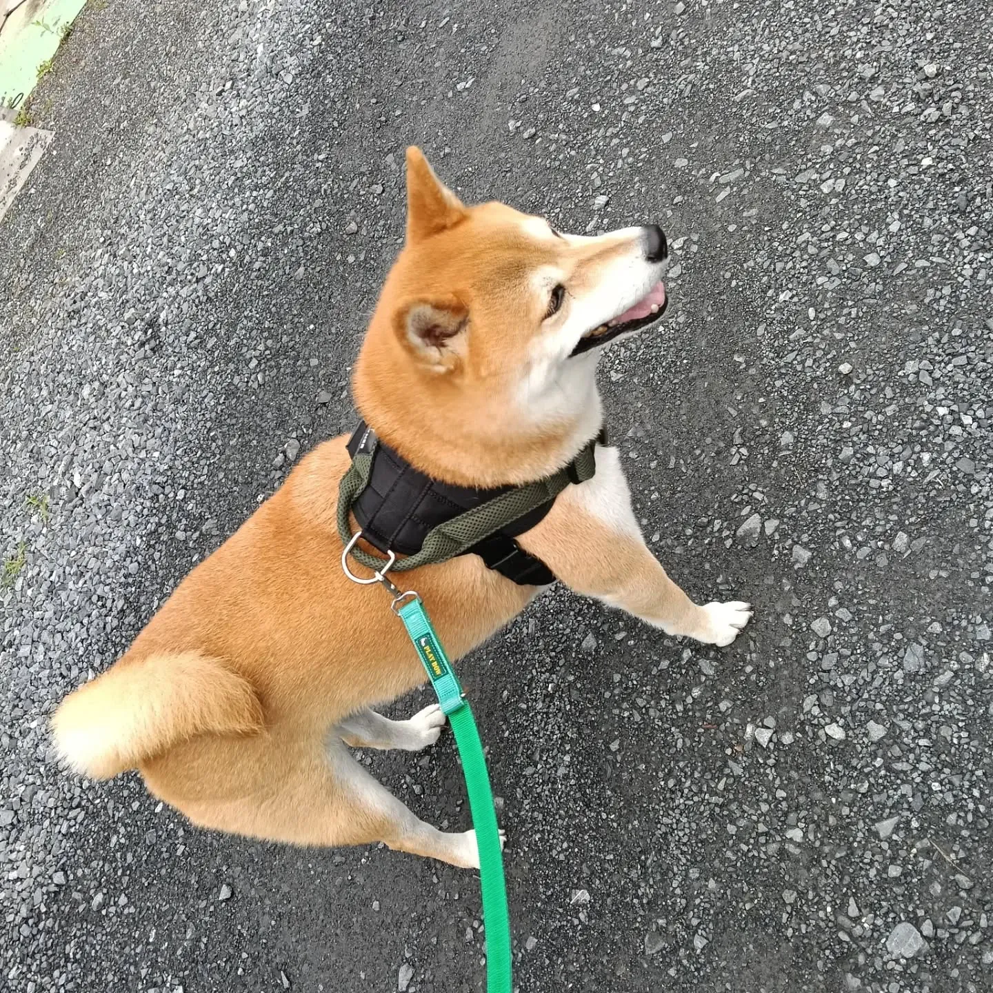おはようございます！