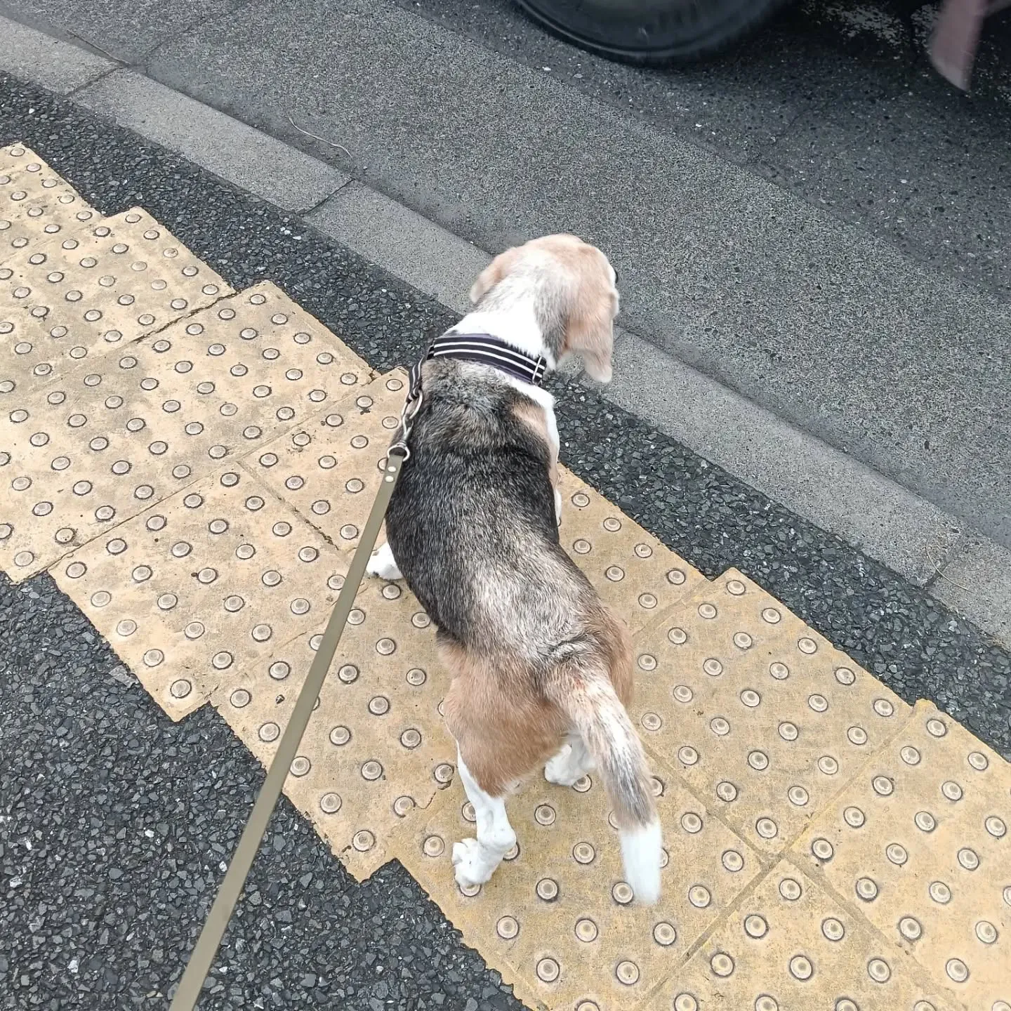 こんにちは！