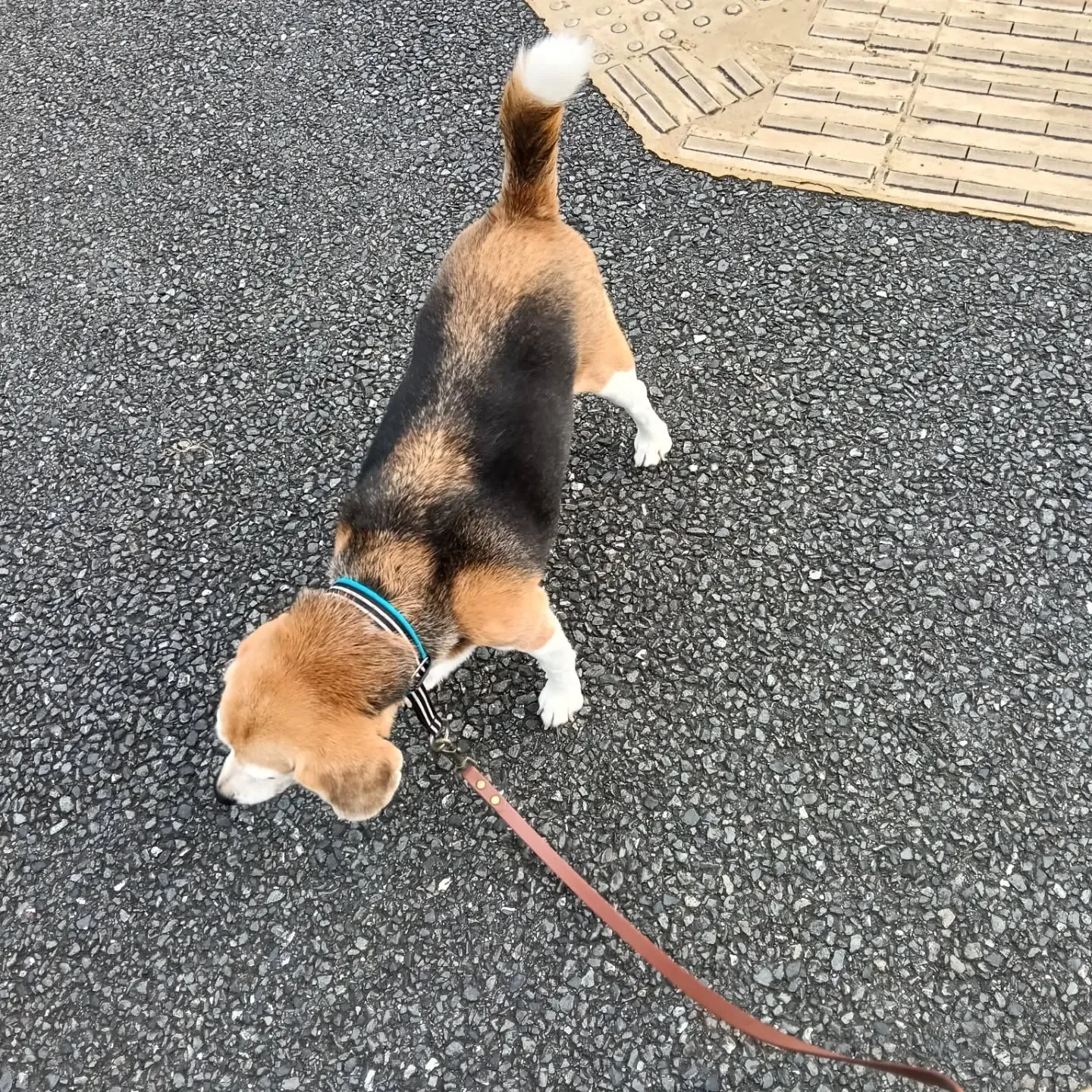 こんにちは!
