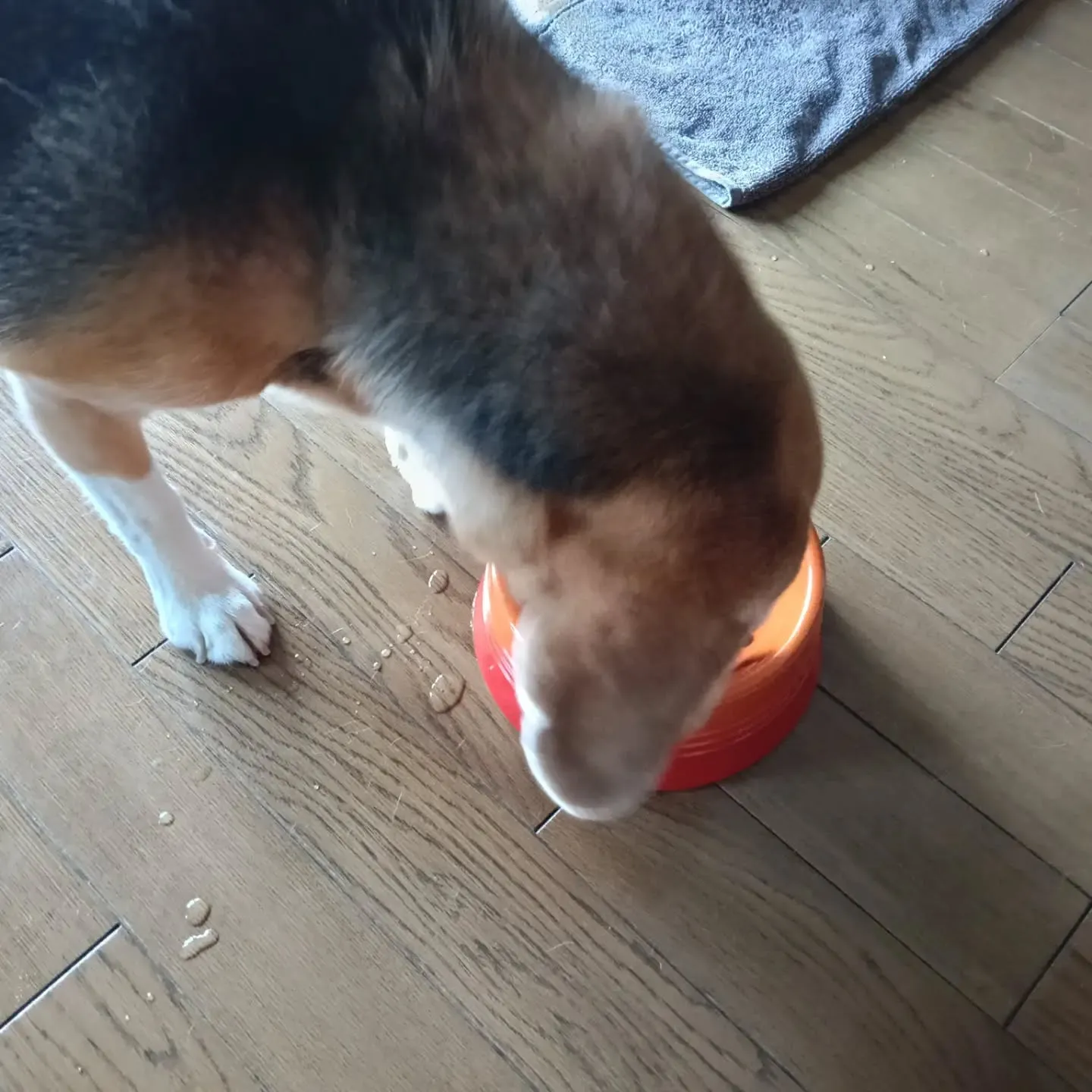 こんにちは!
