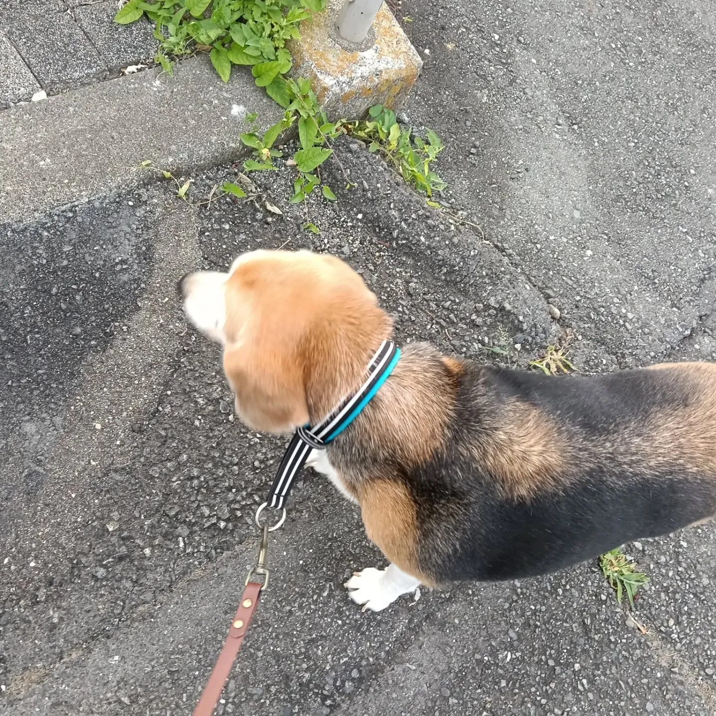 こんばんは!