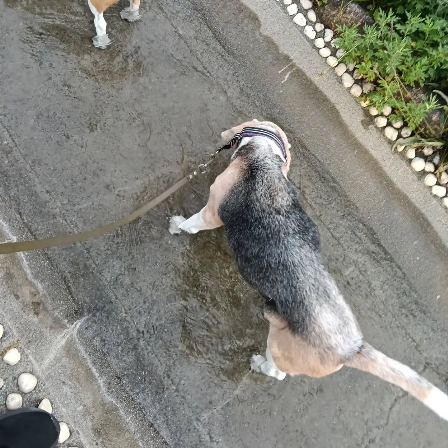 こんばんは!