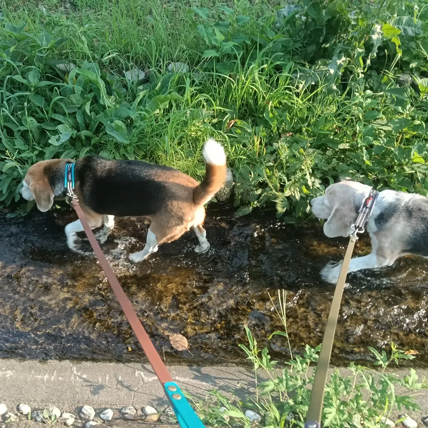 こんばんは!