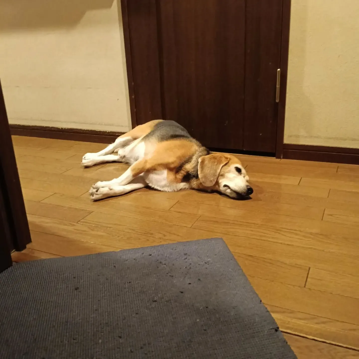 こんばんは！