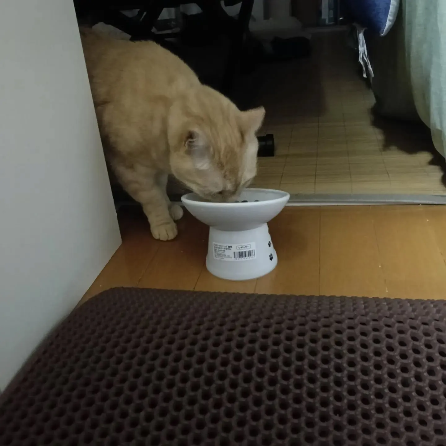 こんばんは！