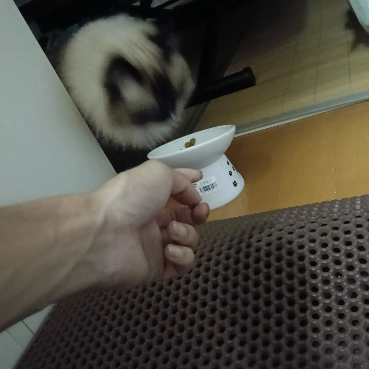 こんばんは!