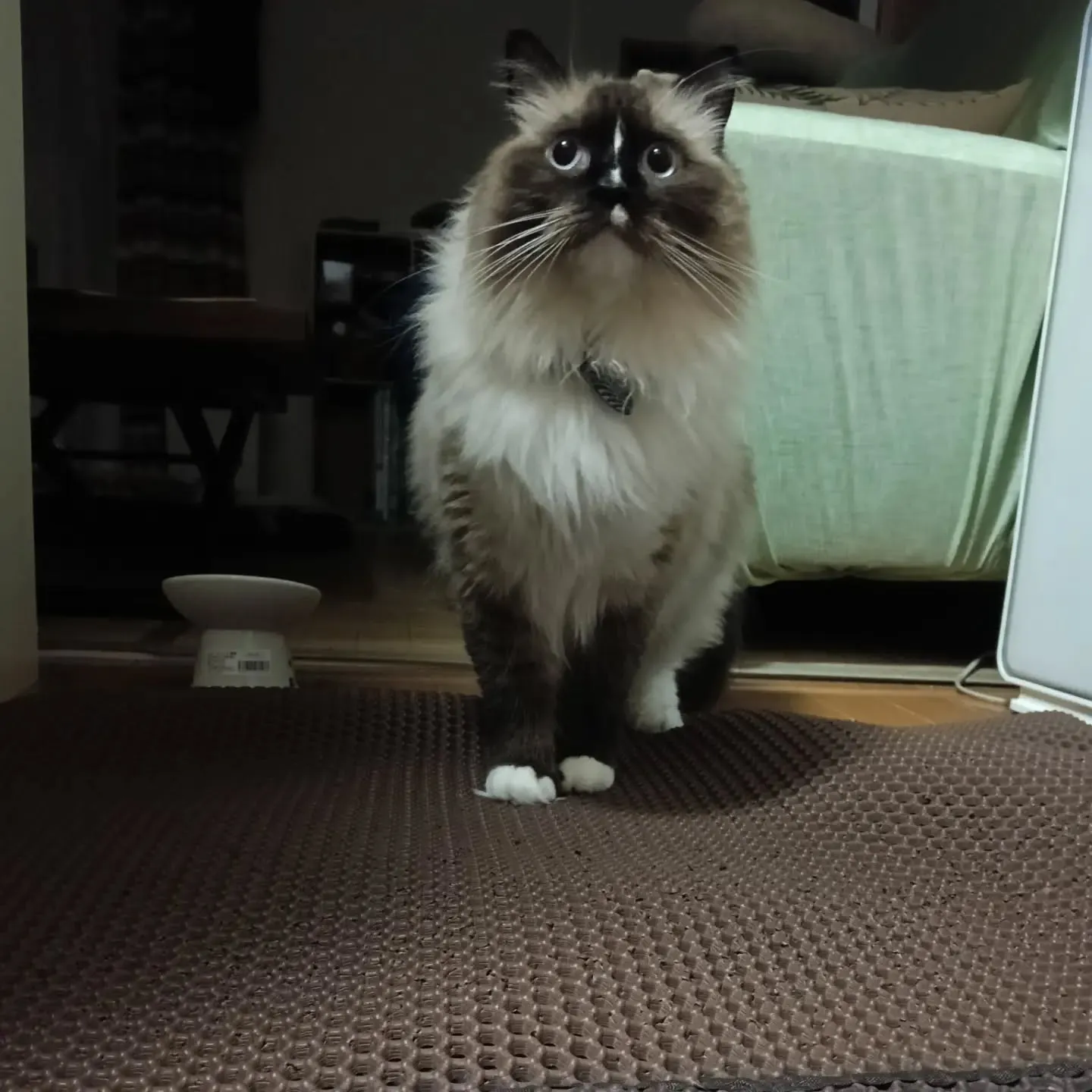 こんばんは!
