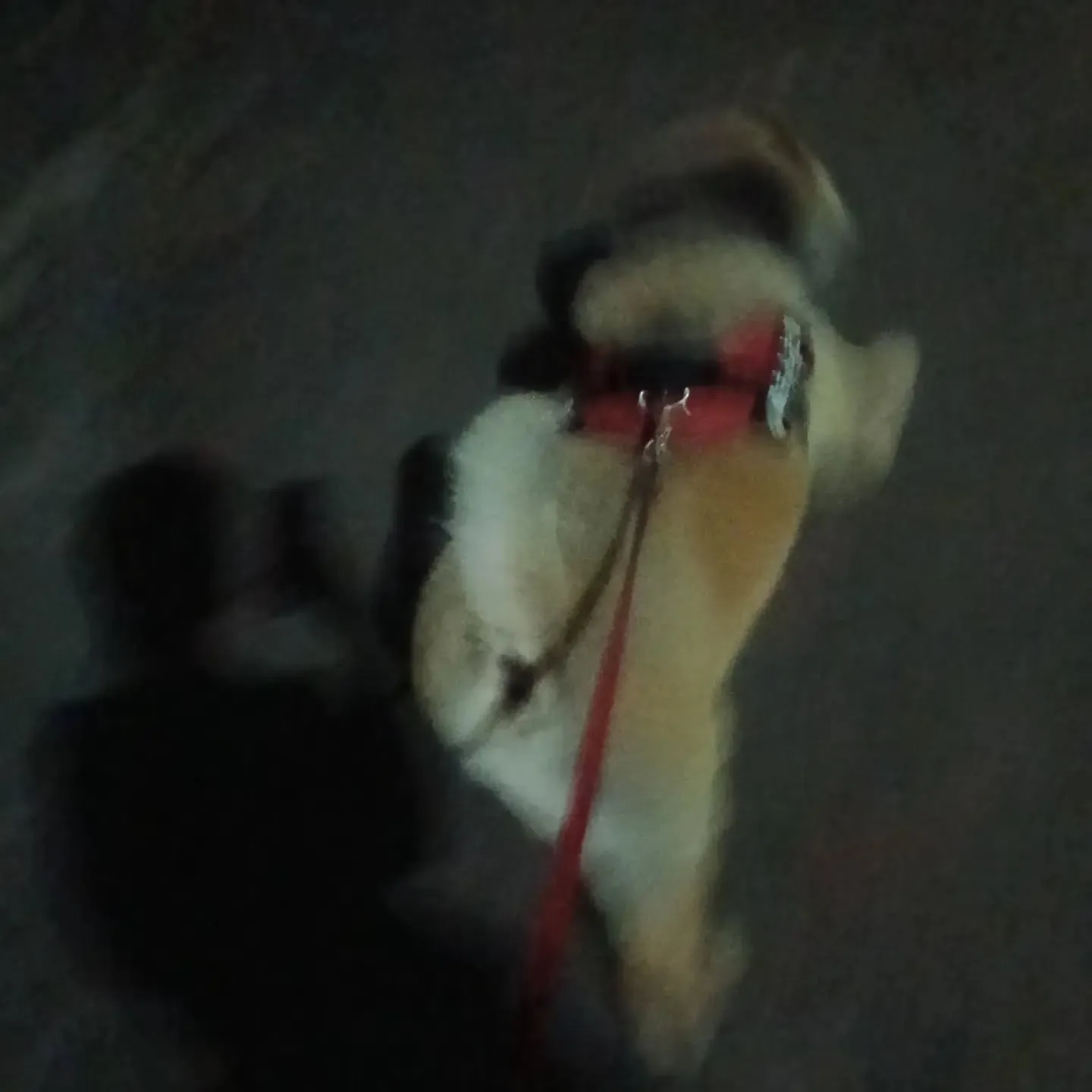 こんばんは!