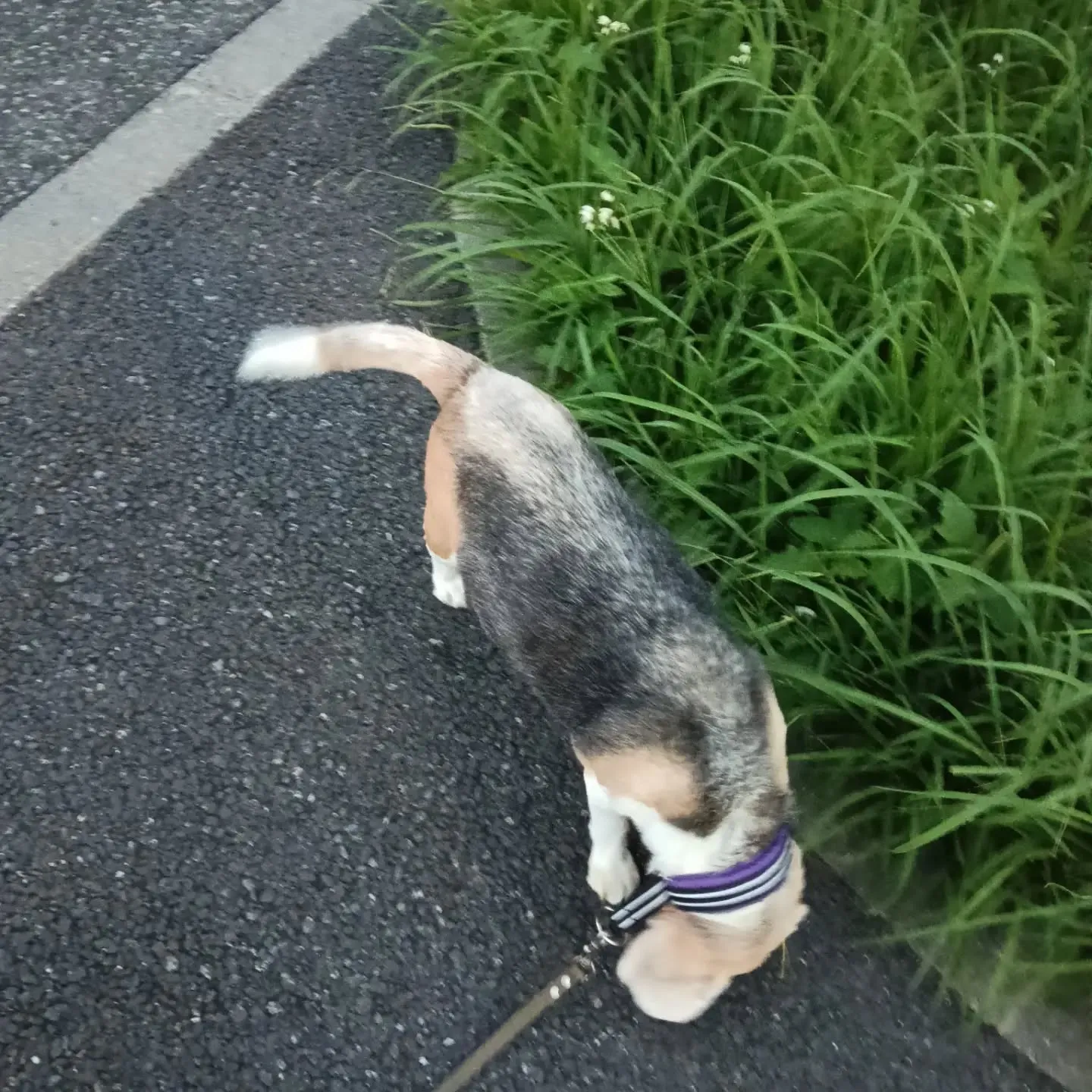 おはようございます!