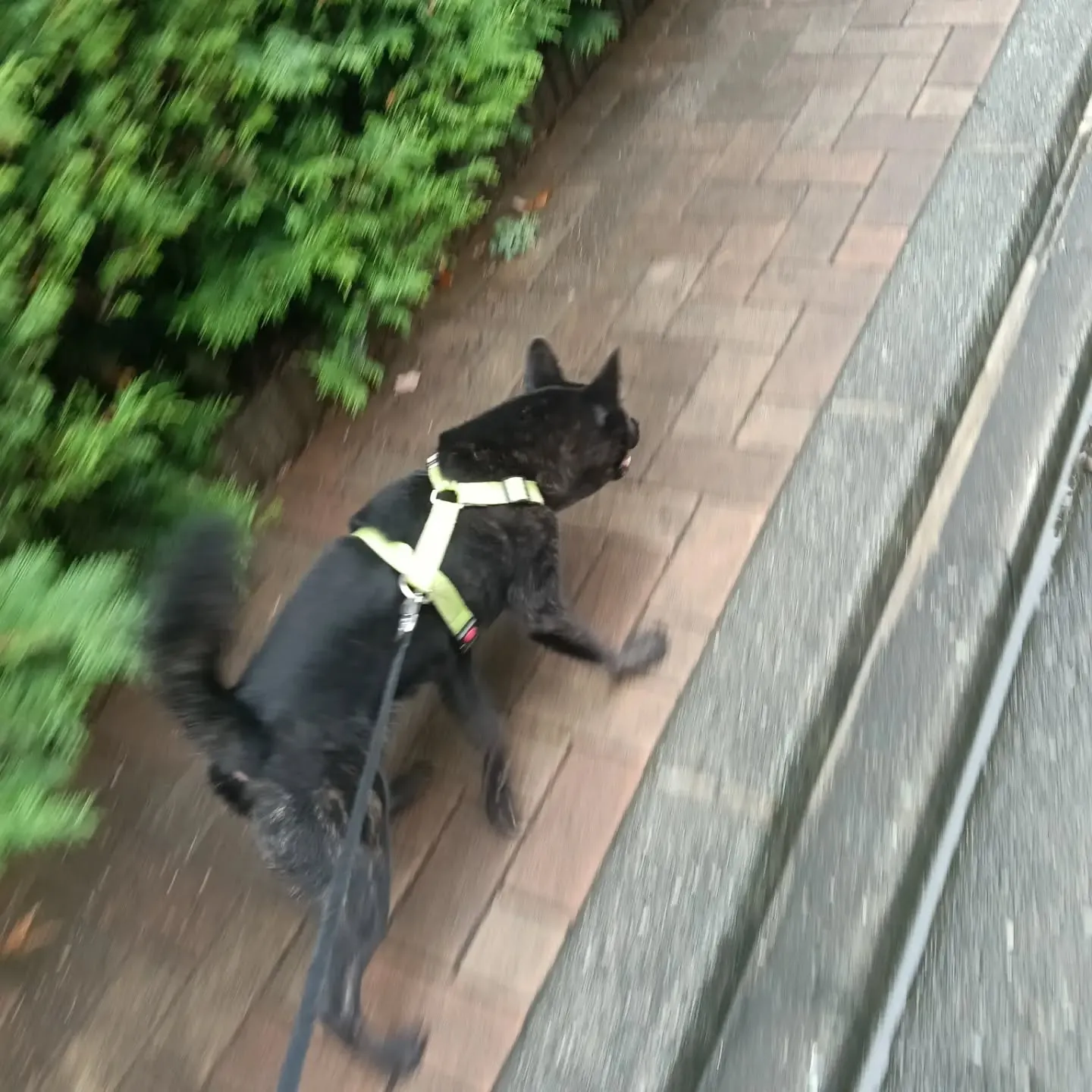 こんにちは！