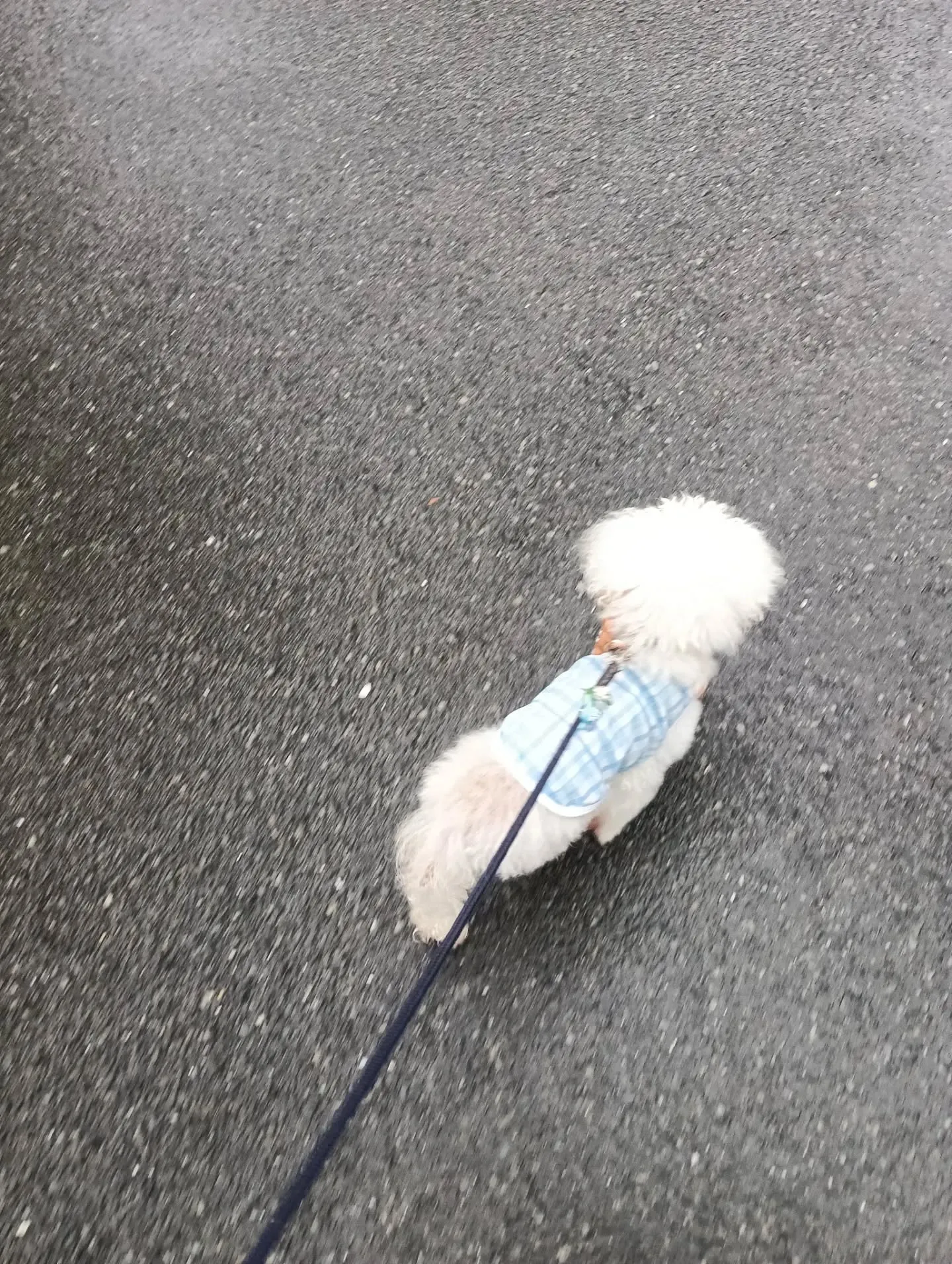 こんばんは!