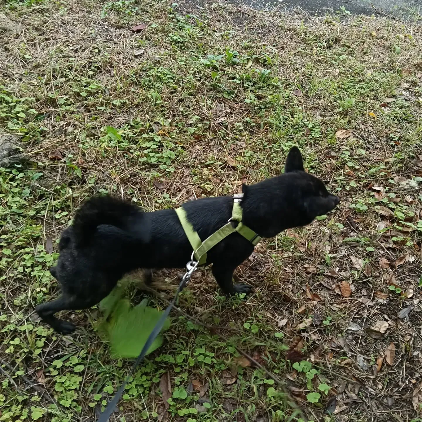 こんにちは！