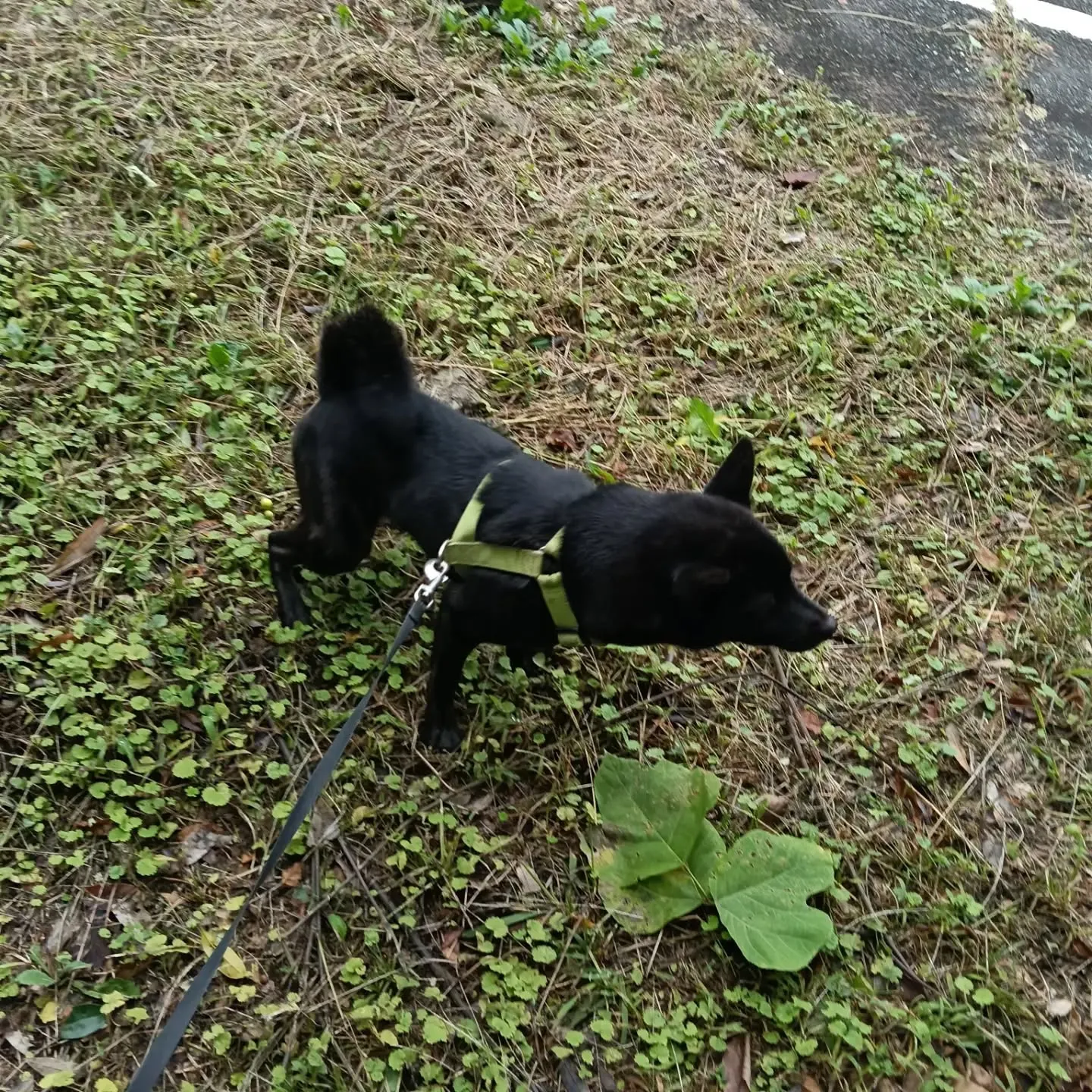 こんにちは！