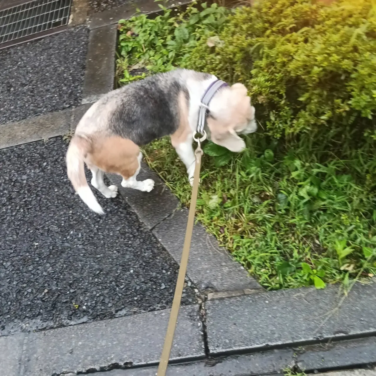 こんにちは!