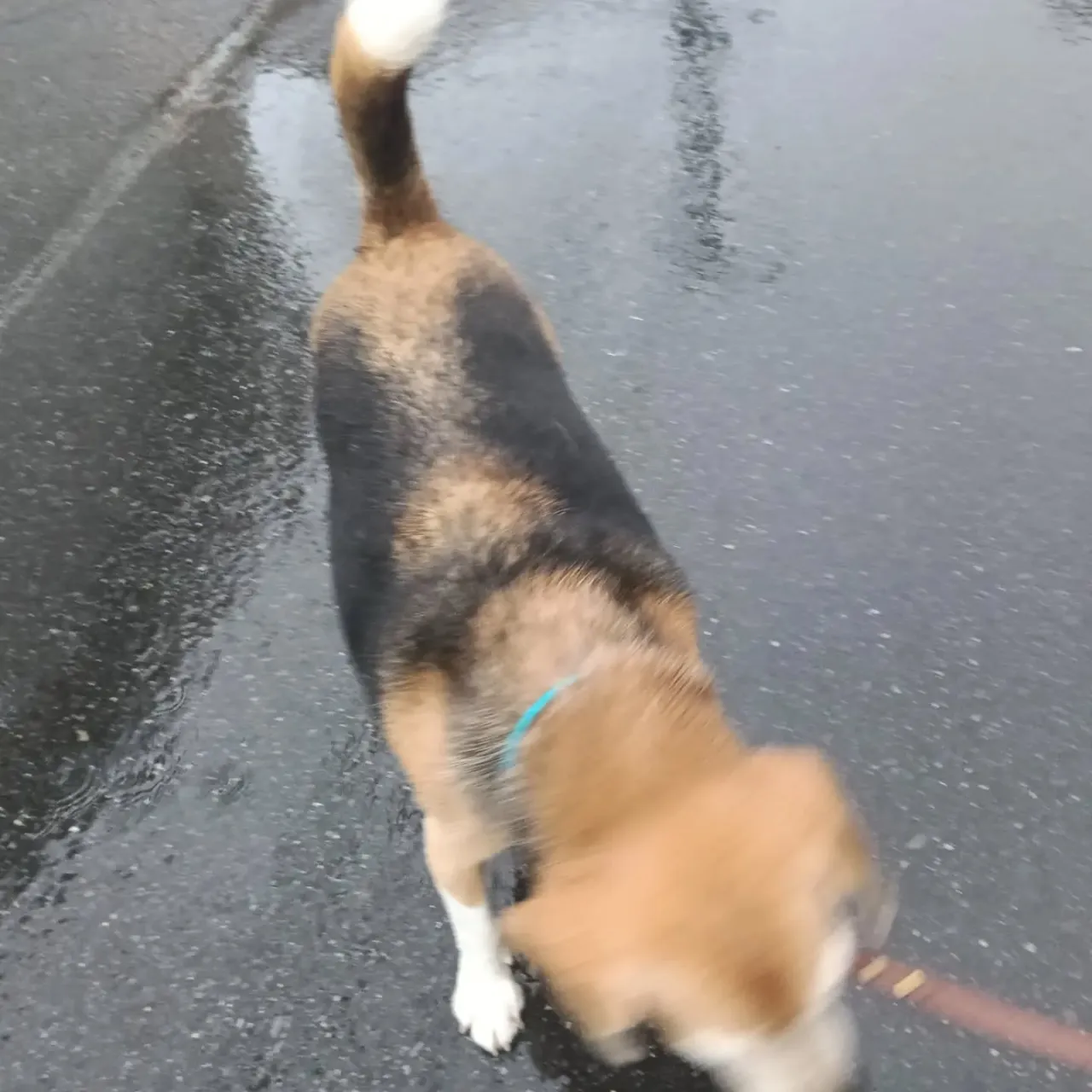 こんにちは!
