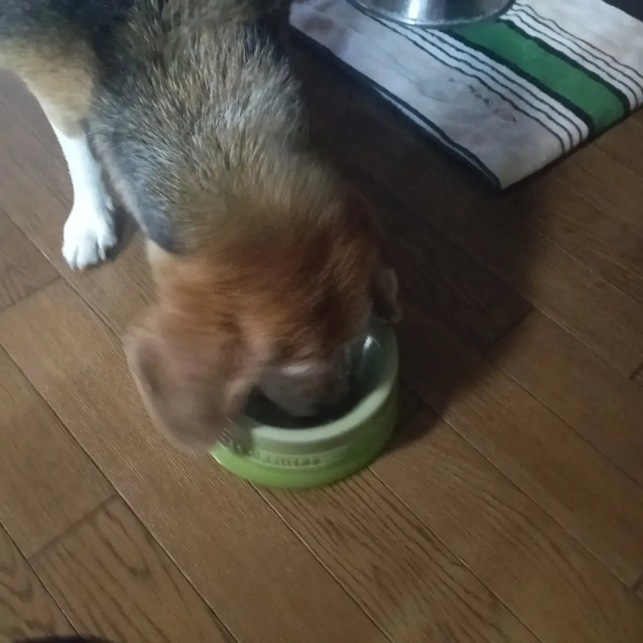 こんにちは!