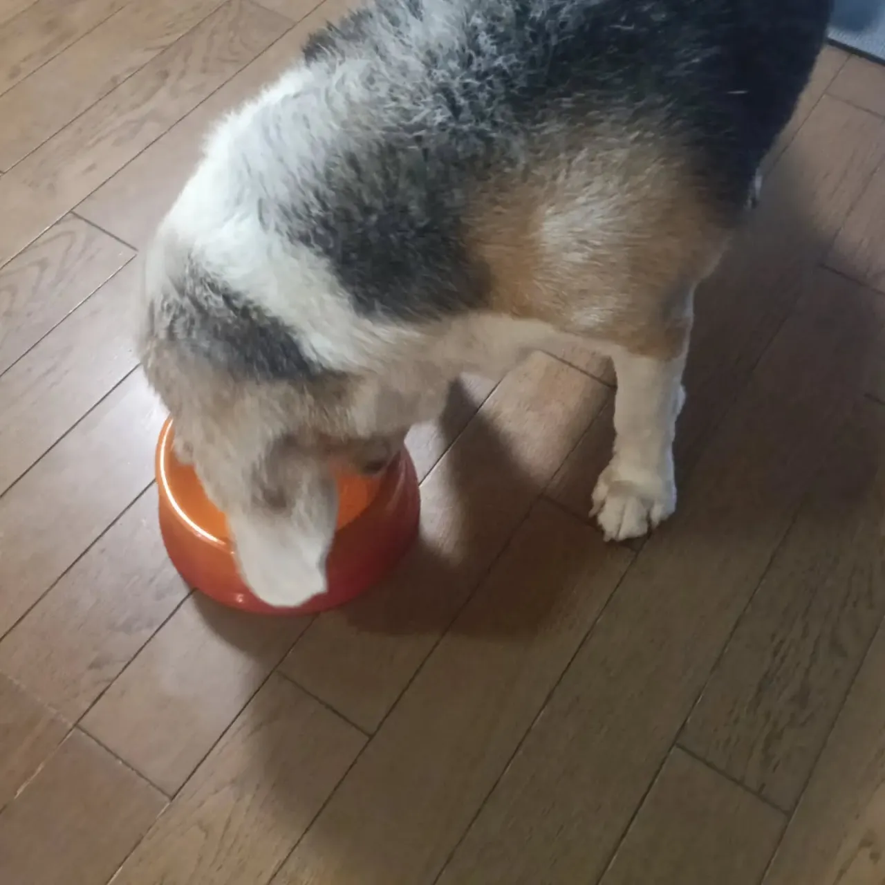 こんにちは!