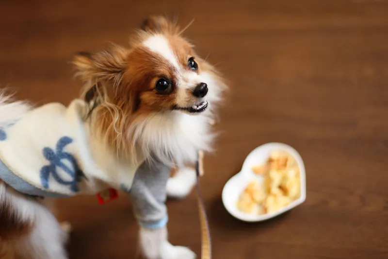 報告と相談を徹底した安心のサービスを